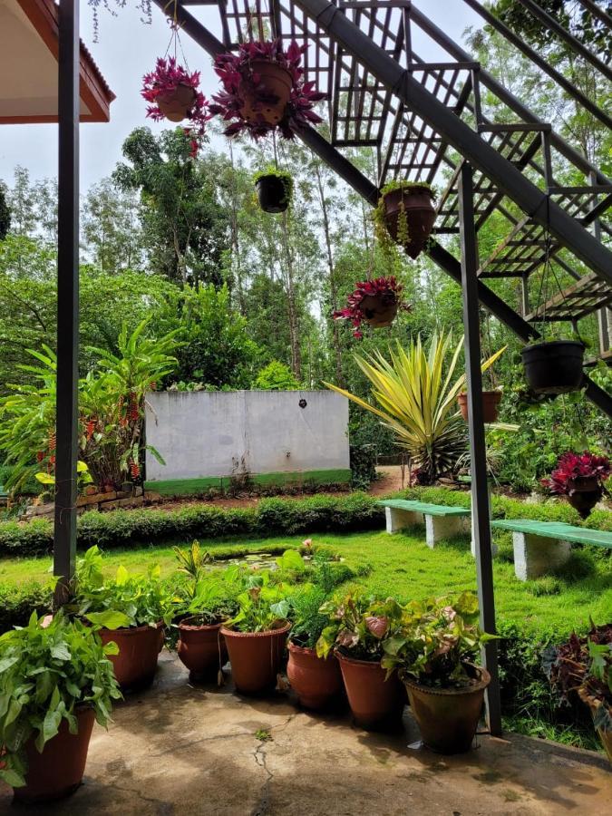 Bluebell Homestay Chikmagalur Ngoại thất bức ảnh
